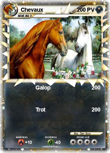 Pokemon Chevaux