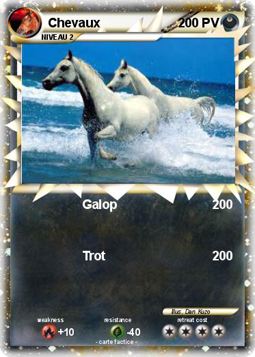 Pokemon Chevaux