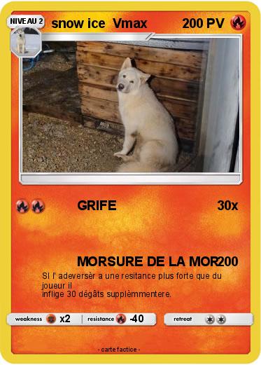 Pokemon snow ice  Vmax