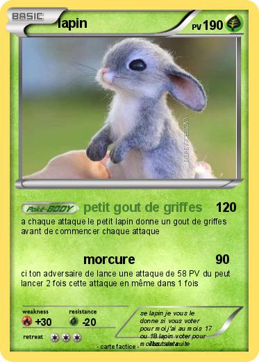 Pokemon lapin