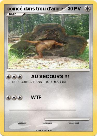 Pokemon coincé dans trou d'arbre