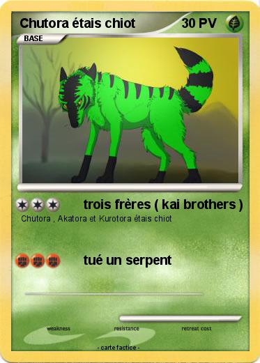 Pokemon Chutora étais chiot