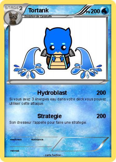 Pokemon Tortank