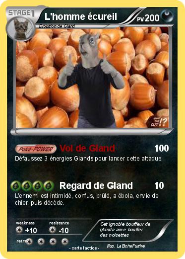 Pokemon L'homme écureil