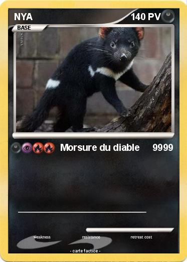 Pokemon NYA