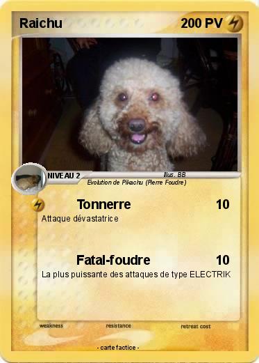 Pokemon Raichu