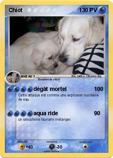 Pokemon Chiot