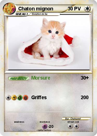 Pokemon Chaton mignon