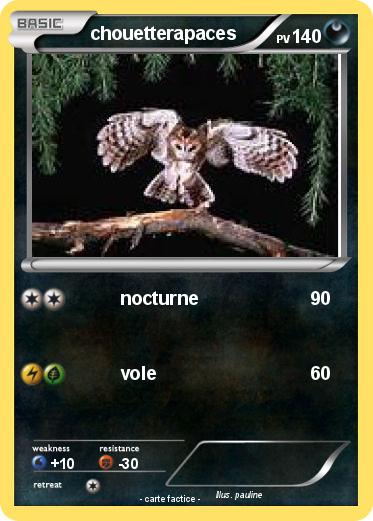 Pokemon chouetterapaces