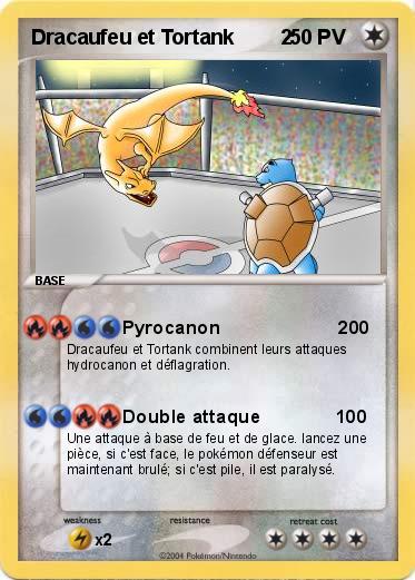 Pokemon Dracaufeu et Tortank        2 