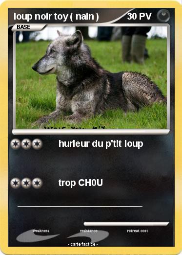 Pokemon loup noir toy ( nain )