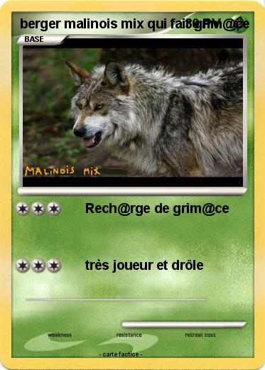 Pokemon berger malinois mix qui fait grim@ce