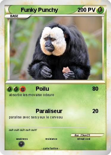 Pokemon Funky Punchy