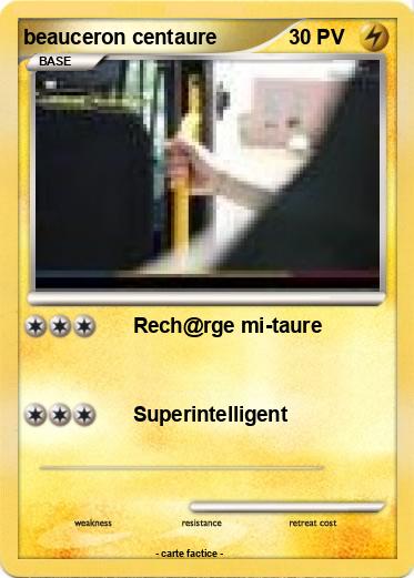 Pokemon beauceron centaure