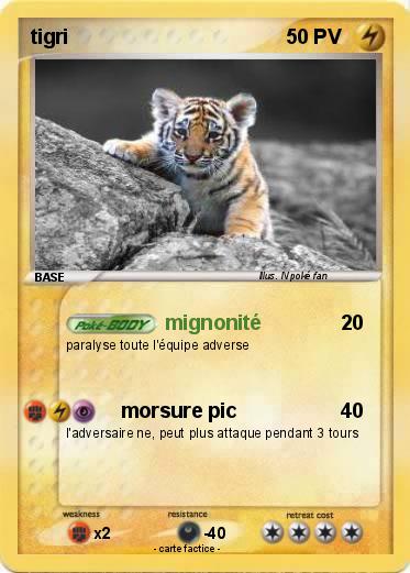 Pokemon tigri
