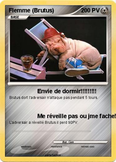 Pokemon Flemme (Brutus)