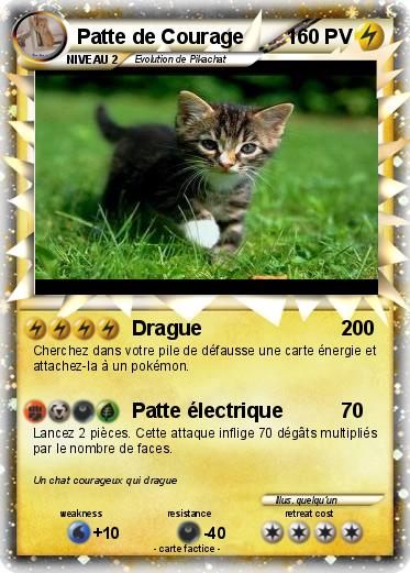 Pokemon Patte de Courage