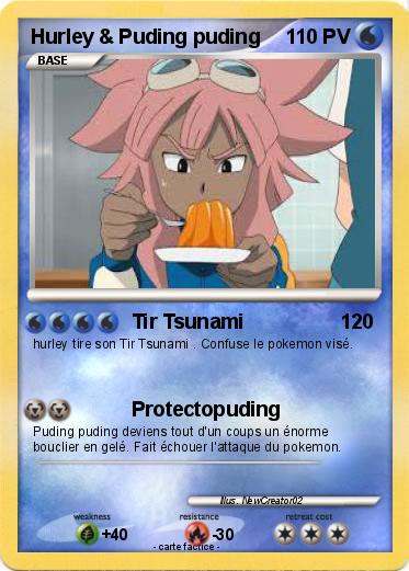 Pokemon Hurley & Puding puding