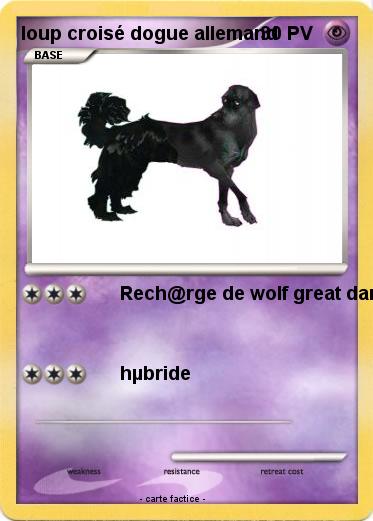 Pokemon loup croisé dogue allemand