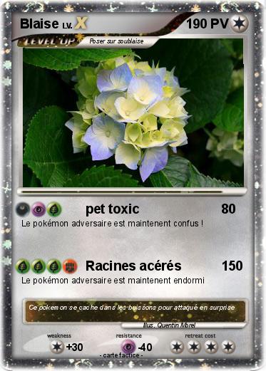 Pokemon Blaise