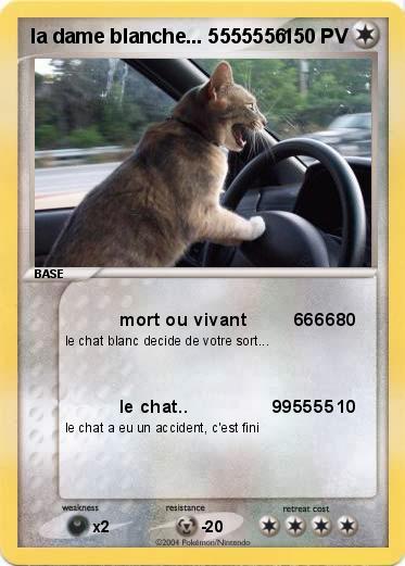 Pokemon la dame blanche... 5555556