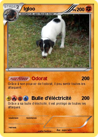 Pokemon Igloo