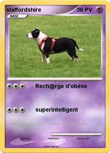 Pokemon staffordshire