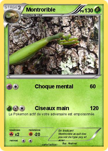 Pokemon Montrorible