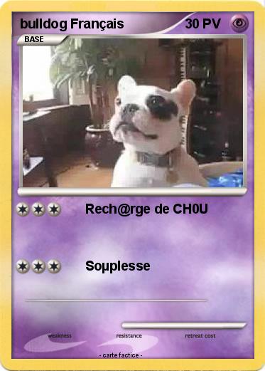 Pokemon bulldog Français