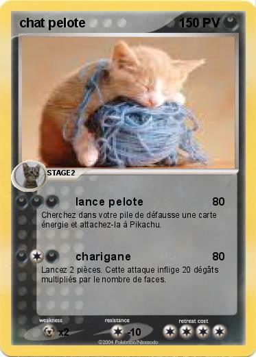Pokemon chat pelote