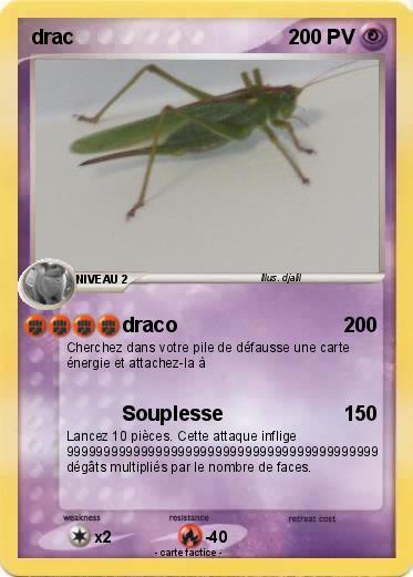 Pokemon drac