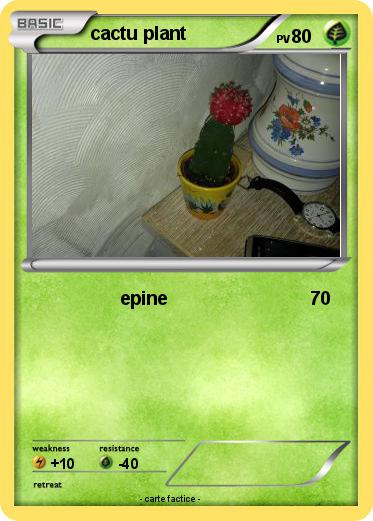 Pokemon cactu plant