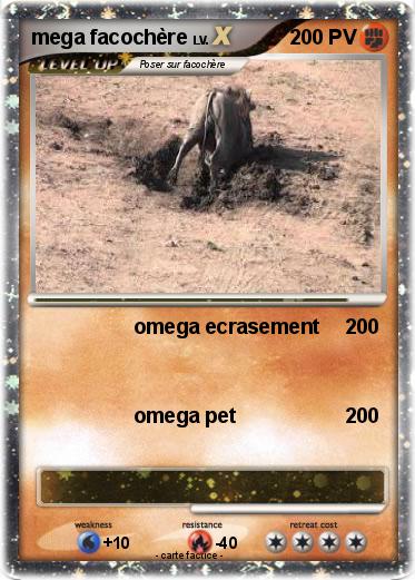 Pokemon mega facochère