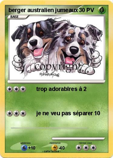 Pokemon berger australien jumeaux