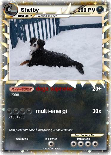 Pokemon Shelby