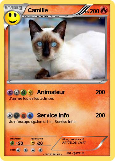 Pokemon Camille
