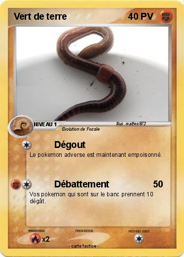 Pokemon Vert de terre