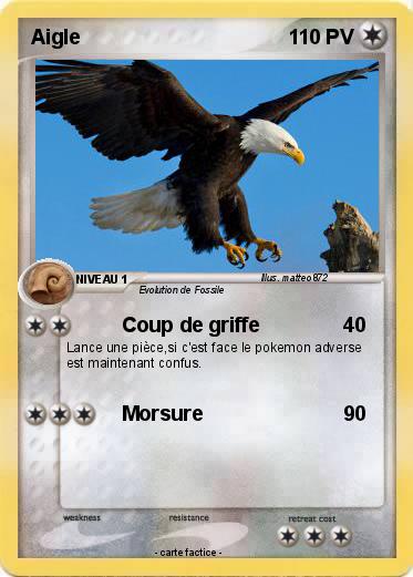 Pokemon Aigle