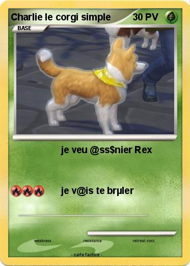 Pokemon Charlie le corgi simple
