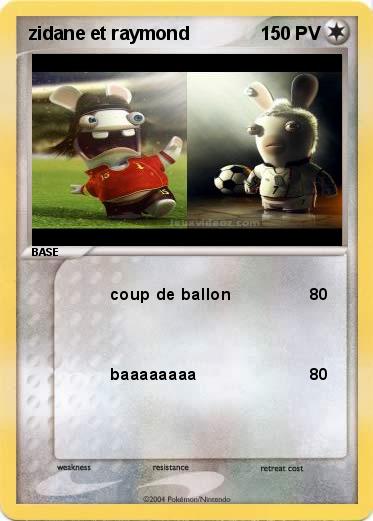 Pokemon zidane et raymond