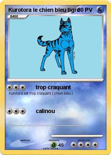 Pokemon Kurotora le chien bleu tigre