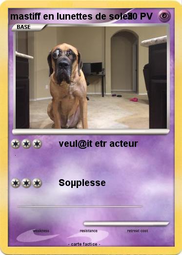 Pokemon mastiff en lunettes de soleil
