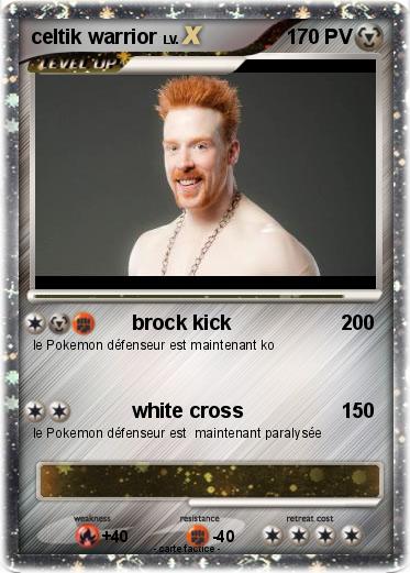 Pokemon celtik warrior