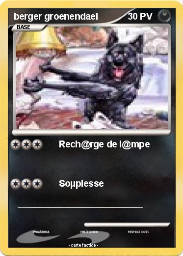 Pokemon berger groenendael
