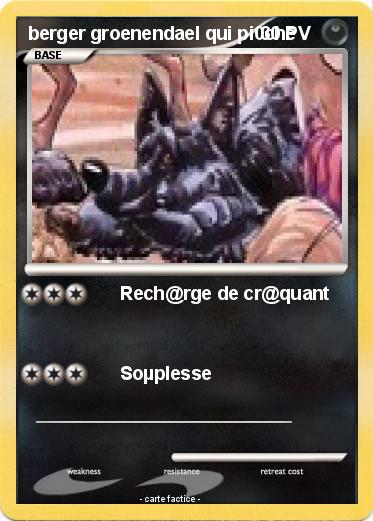 Pokemon berger groenendael qui pi0che