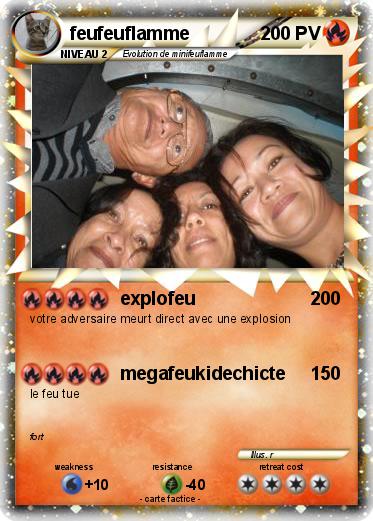 Pokemon feufeuflamme