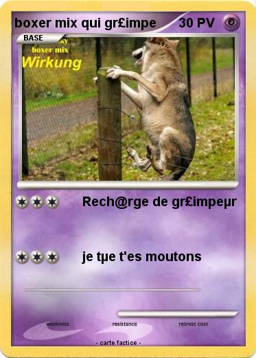 Pokemon boxer mix qui gr£impe