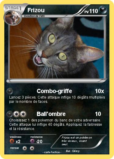 Pokemon Frizou