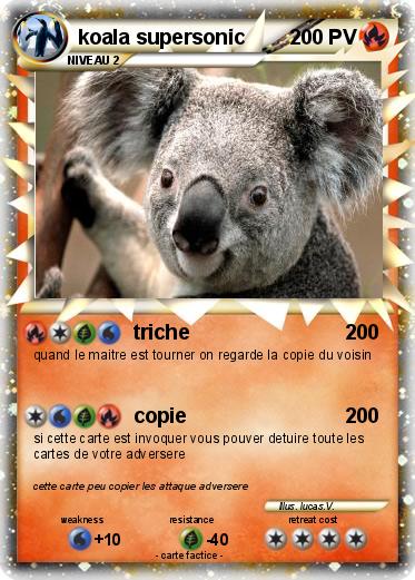 Pokemon koala supersonic