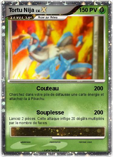 Pokemon Tortu Nija